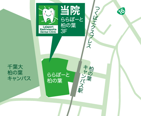 マップ