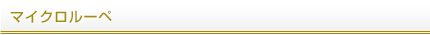 マイクロルーペ