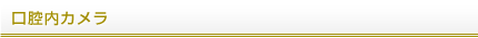 口腔内カメラ